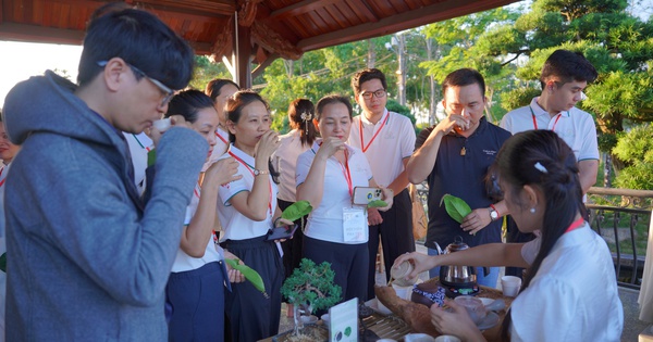 Những bước chân thảnh thơi vô ngã với trà: Mong phát triển văn hóa trà Việt