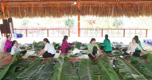 Nghệ nhân tất bật chuẩn bị bánh chưng hơn 1 tấn cho ngày Giỗ tổ Hùng Vương