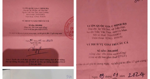 Vườn quốc gia U Minh Hạ nhiều lần tự in vé dịch vụ câu cá?